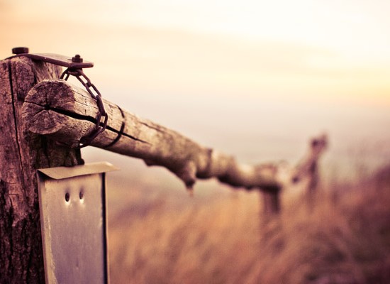 You Gotta Start Somewhere